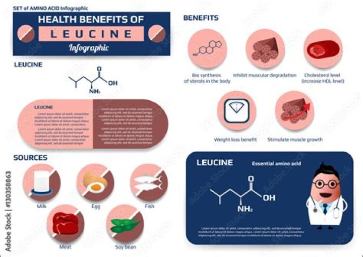 What are the benefits of l-leucine?