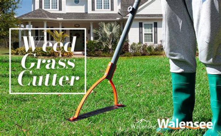 What do grasscutters eat?