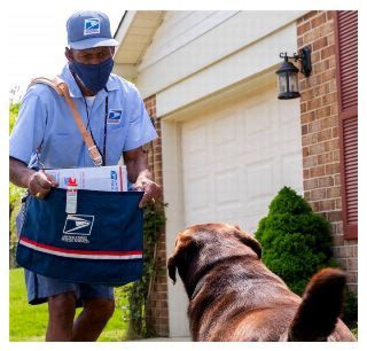 What do mailmen use to deter dogs?