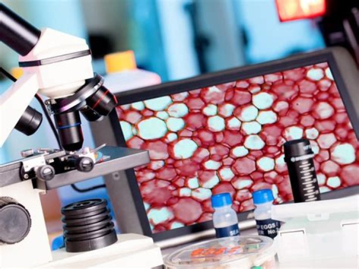 What does a cytotechnologist do?