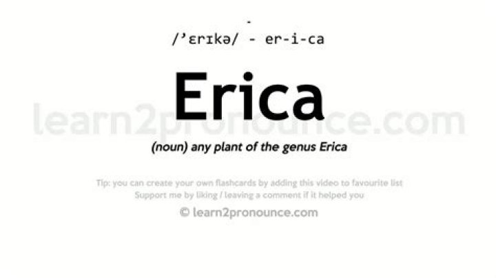 What does erica mean?