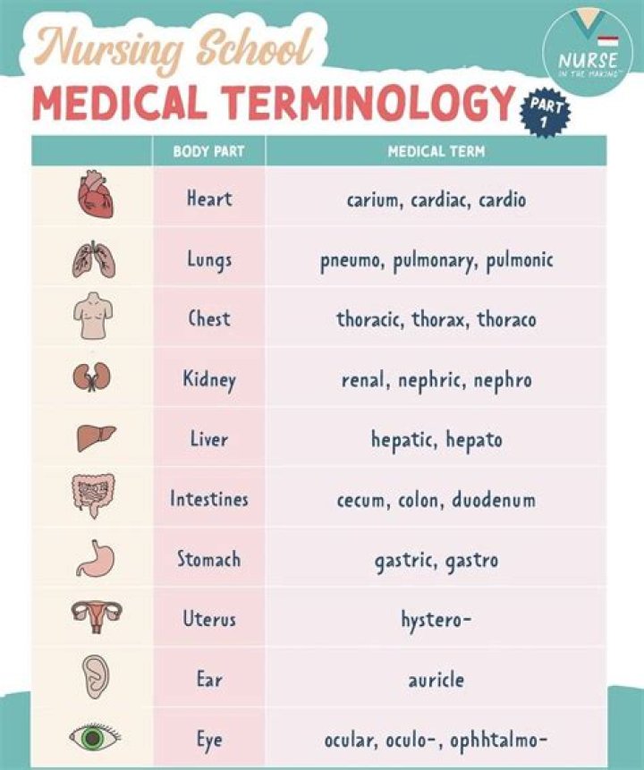 What does the medical term hemiglossal mean?