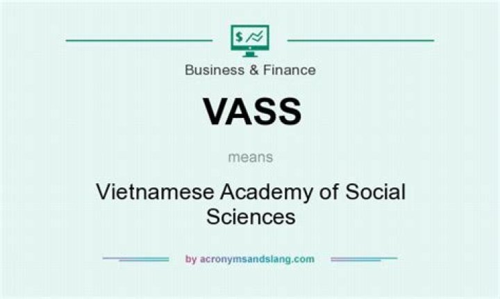What does vass mean?