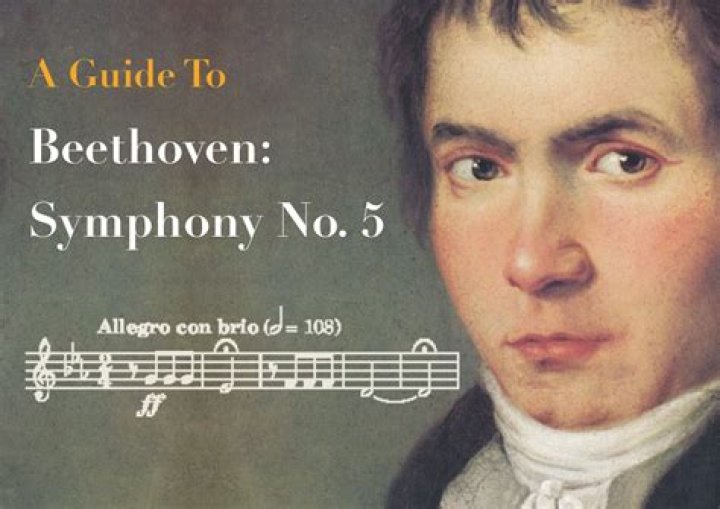 What is beethoven symphony 5 about?