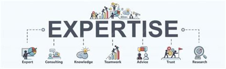 What is expertise in business?