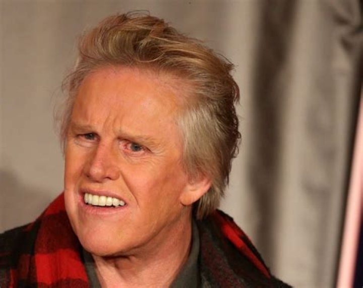 What is gary busey's net worth?
