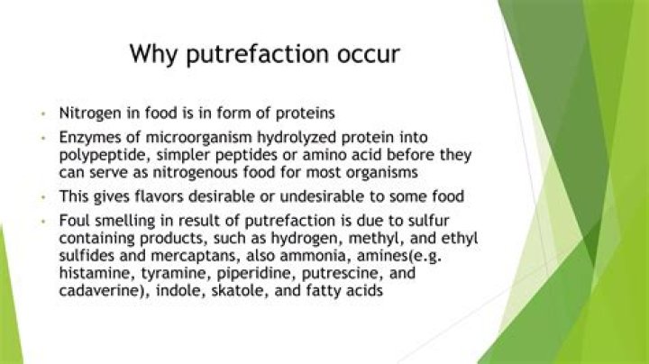 What is putrefaction of food?