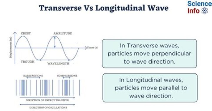 What is the difference between encrusted and encrusted?