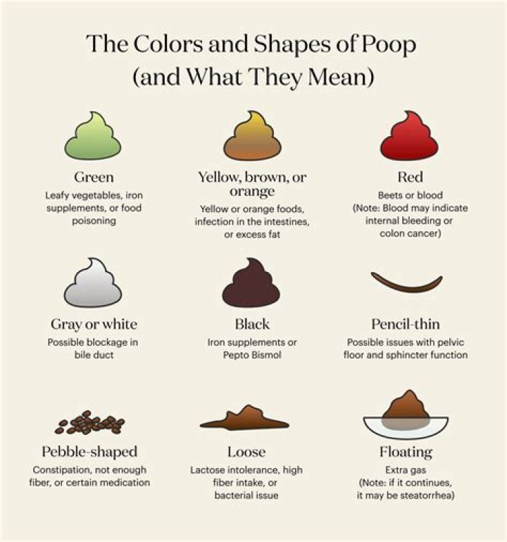 What is the meaning of dyeable?