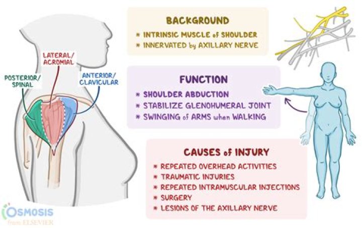 What is the medical definition for encephalalgia?