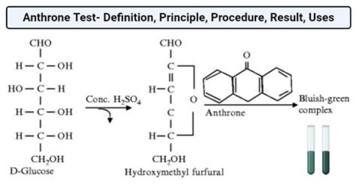 What is the principle of the anthrone food test?