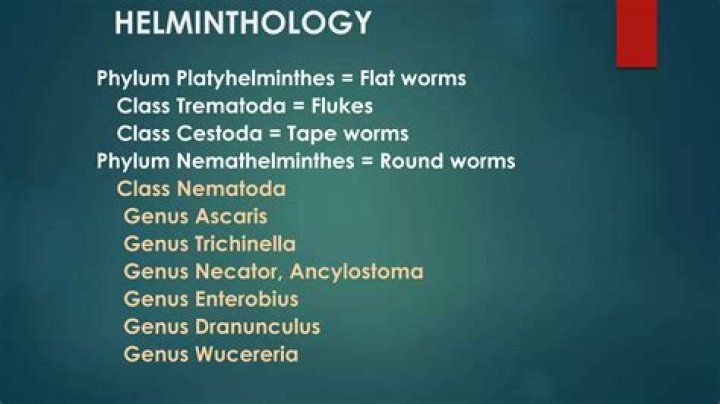 What is the study of helminthology?