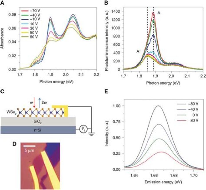 What is the use of excitons?