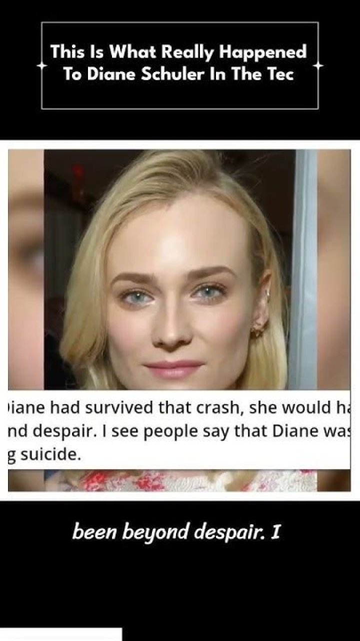 What really happened to diane schuler?