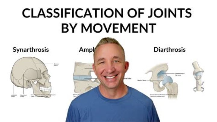 What type of joint is amphiarthrosis?