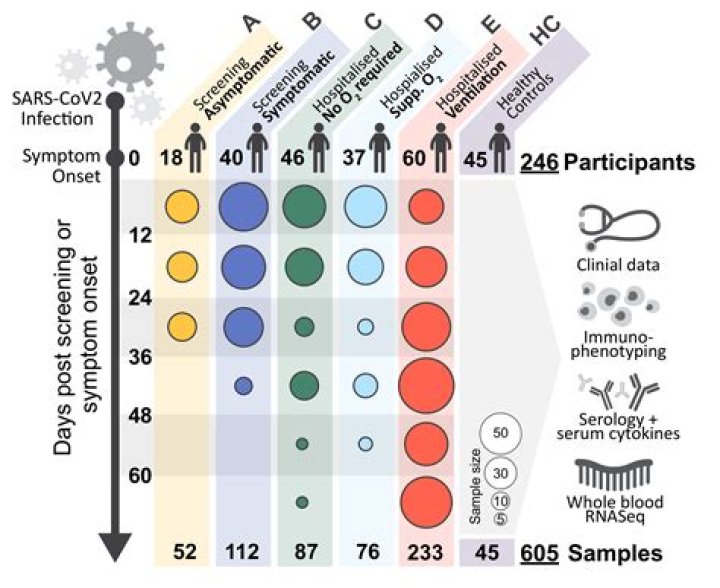 Whats a cohort covid?