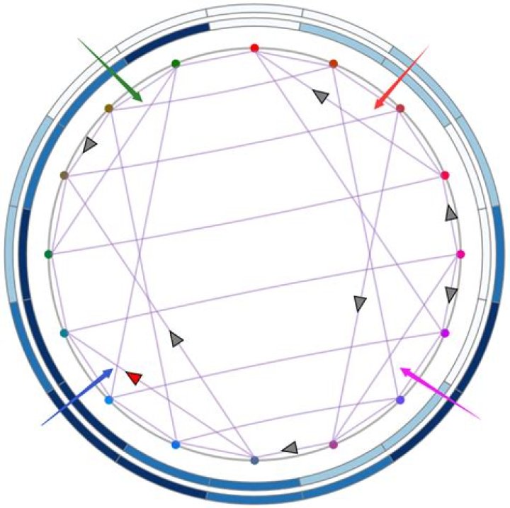 Whats a torus network?