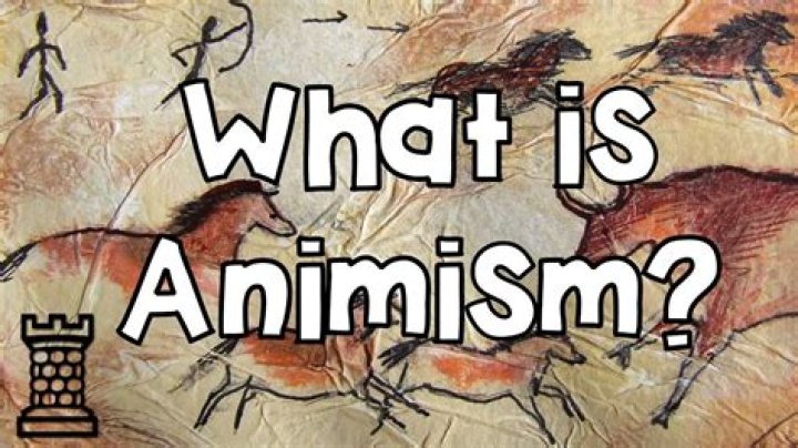 Whats does animism mean?