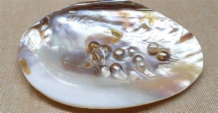 Whats mother of pearl?