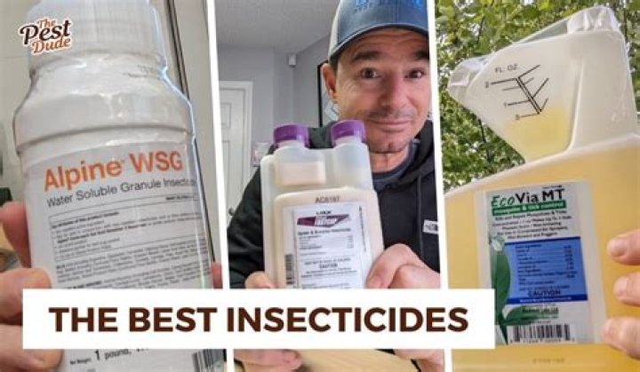 Whats the best pesticide for roaches?
