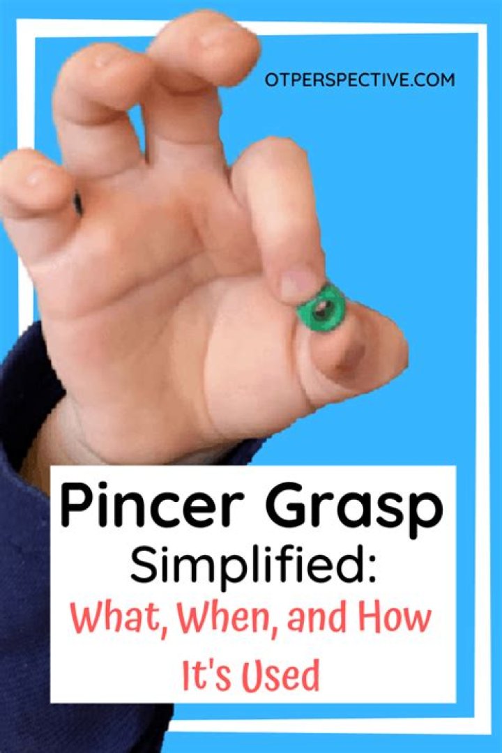 When is pincer grasp mastered?