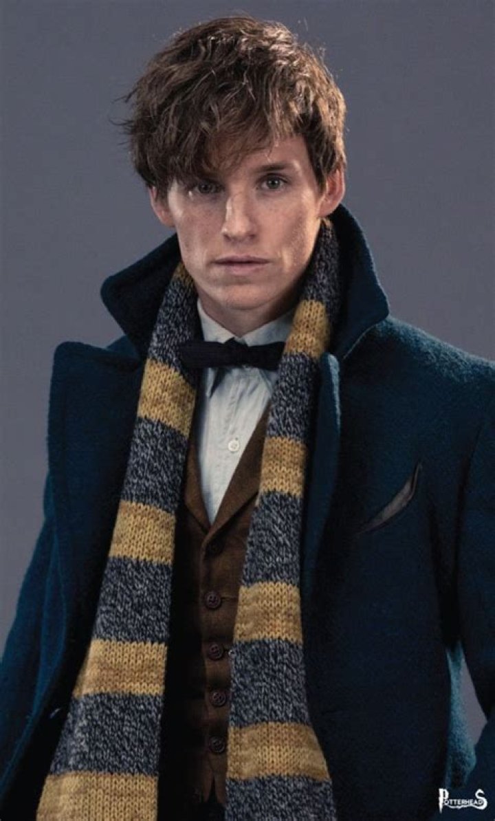 When was newt scamander mentioned in harry potter?