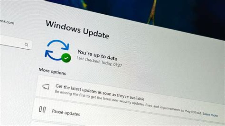 Where are microsoft updates on mac?
