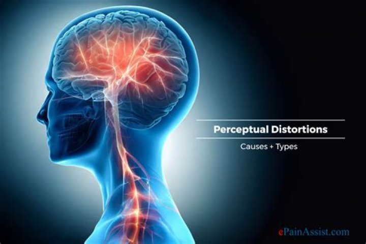 Where are perceptual distortions?
