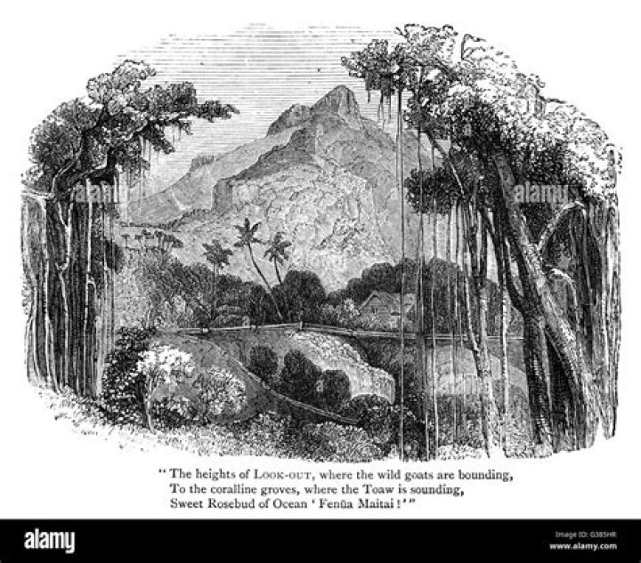 Where bounty mutineers made landfall?