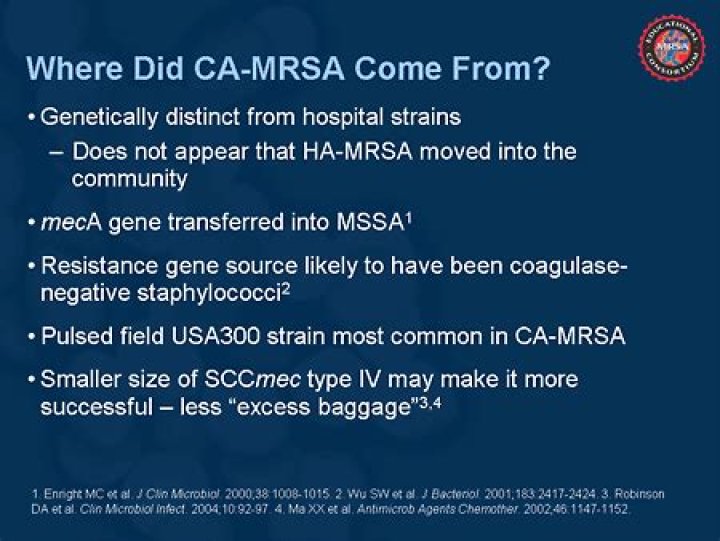 Where did mrsa come from?