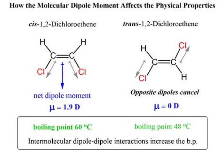 Where do dipoles point?