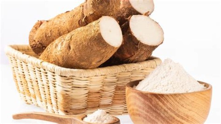 Where does arrowroot store its food?