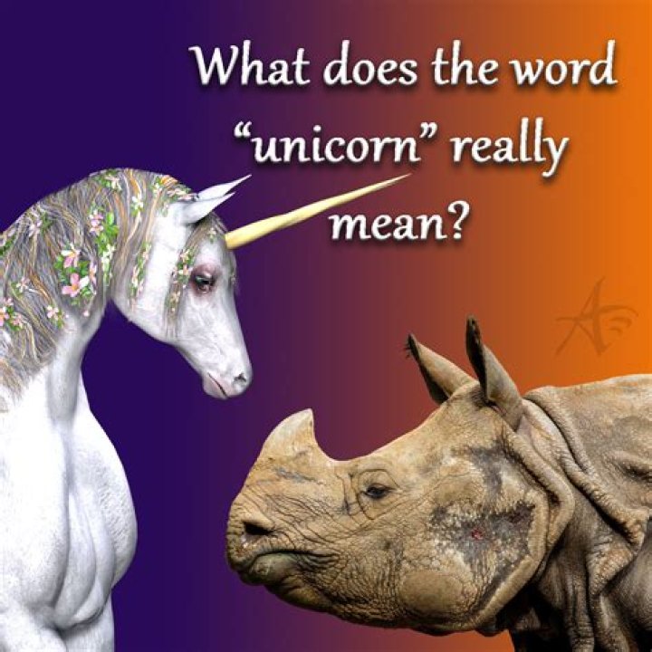 Where does the word unicorn come from?