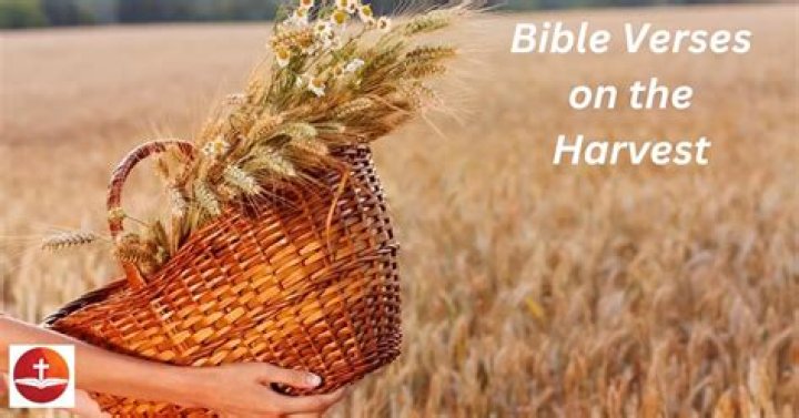 Where is harvest in the bible?