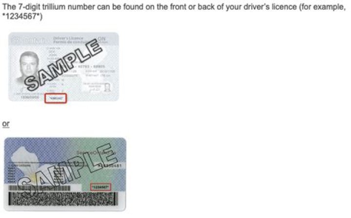Where is trillium number on driver's license?