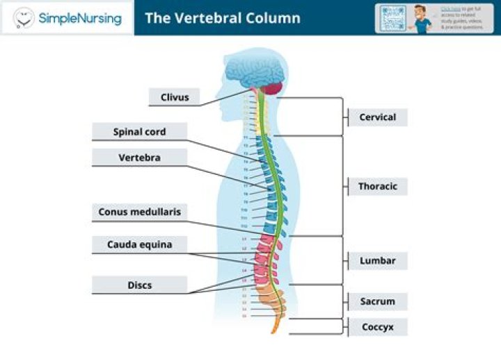 Where is your column?
