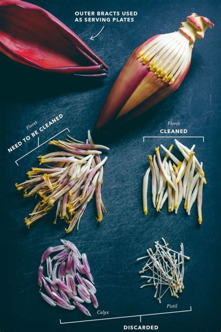 Which blossom can you eat?