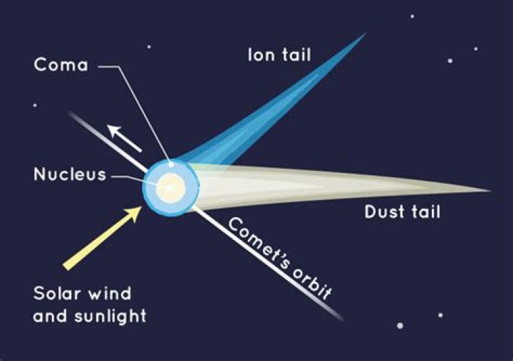 Which comets are located?