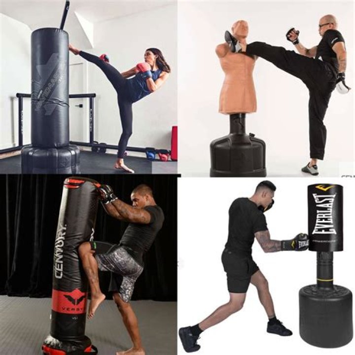 Which free standing punch bag is best?