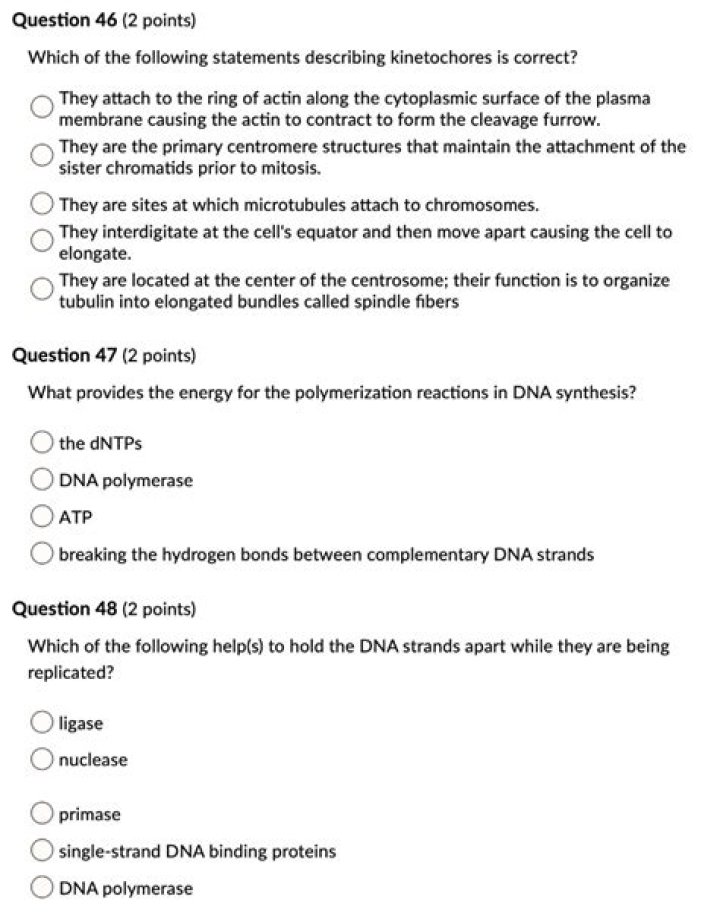 Which of the following statements describing kinetochores is correct?