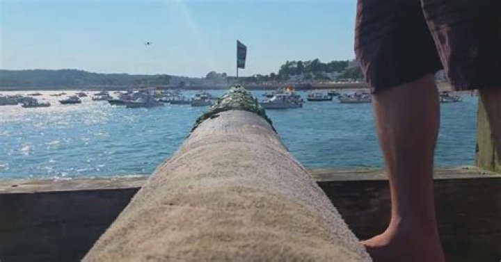 Who said greasy pole?