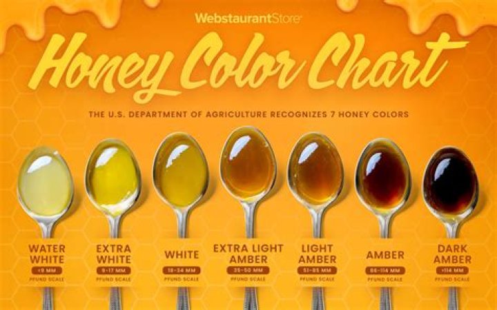Why different color honey?