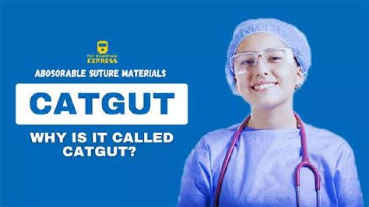 Why is fishing line called catgut?