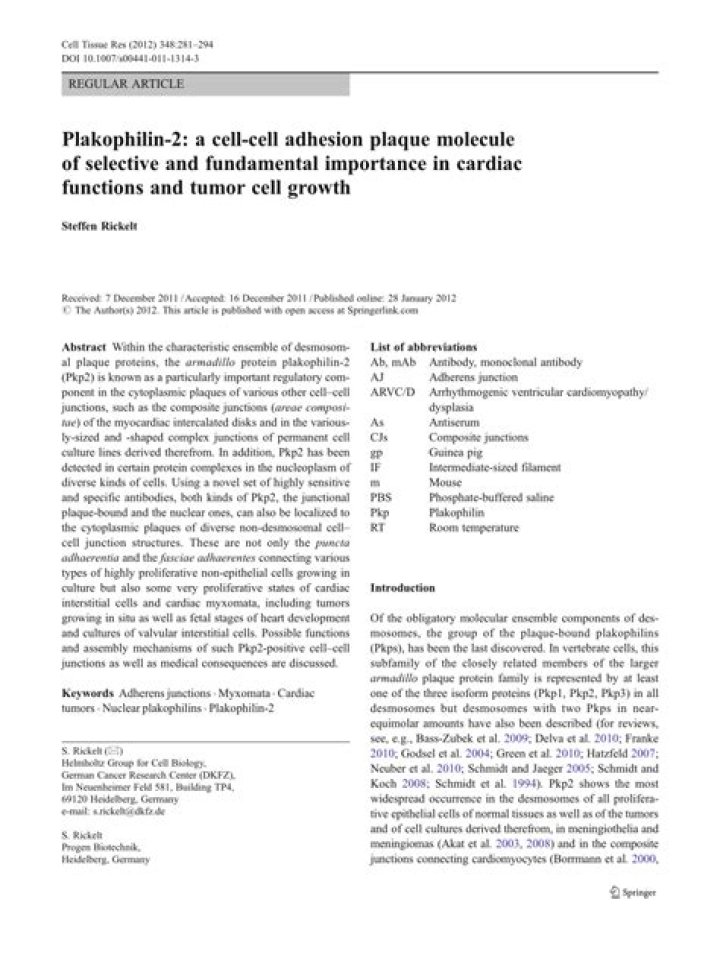 Why is plakophilin 2 important?
