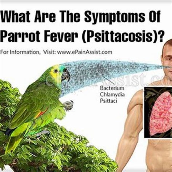 Why is psittacosis dangerous?