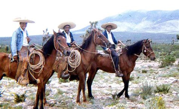 Why were vaqueros important to texas?