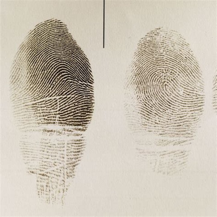 Will a cut affect fingerprints?