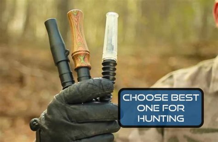 Will a doe come to a grunt call?