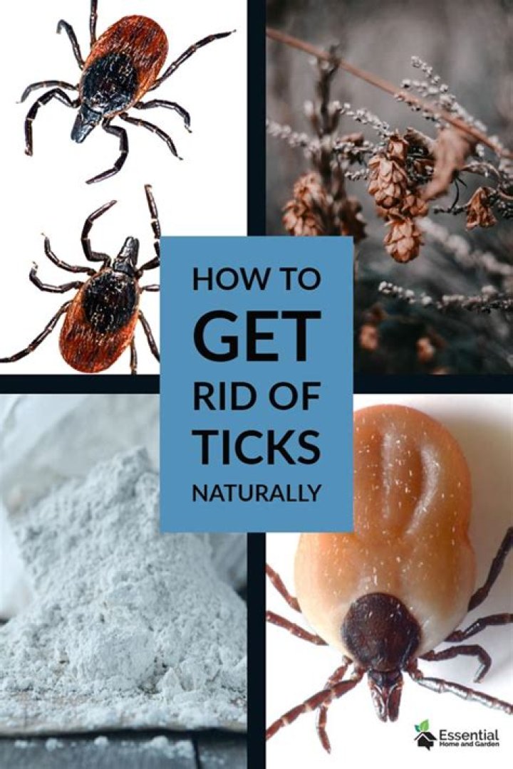 Will demetrius earth kill ticks?