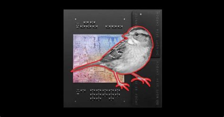 Will malwarebytes detect silver sparrow?
